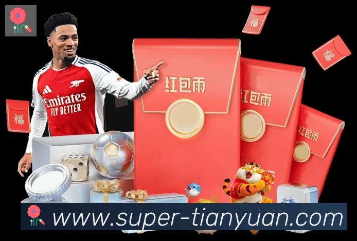 未来规划